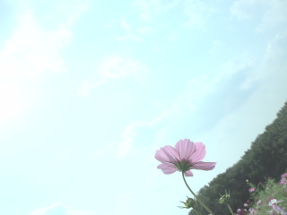 フレーム
